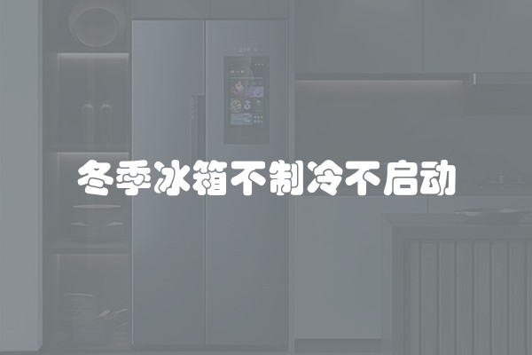 冬季冰箱不制冷不启动