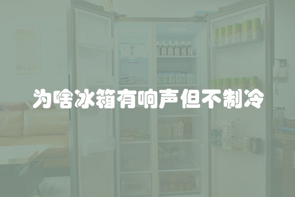 为啥冰箱有响声但不制冷