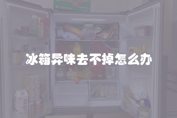 冰箱异味去不掉怎么办