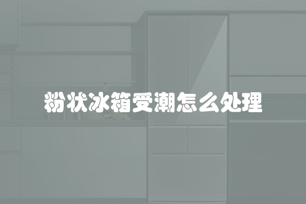 粉状冰箱受潮怎么处理