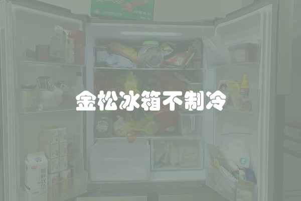金松冰箱不制冷