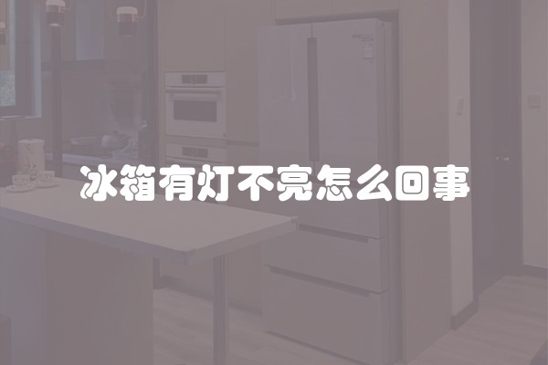 冰箱有灯不亮怎么回事