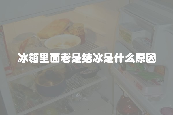 冰箱里面老是结冰是什么原因