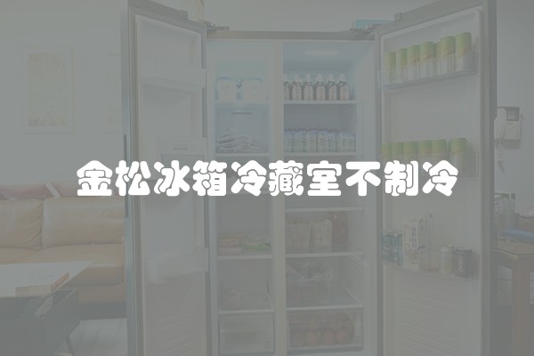 金松冰箱冷藏室不制冷