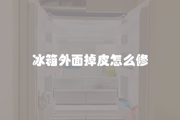 冰箱外面掉皮怎么修