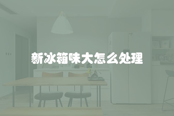 新冰箱味大怎么处理