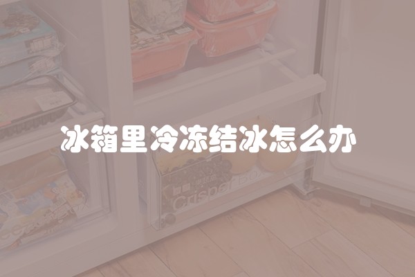 冰箱里冷冻结冰怎么办