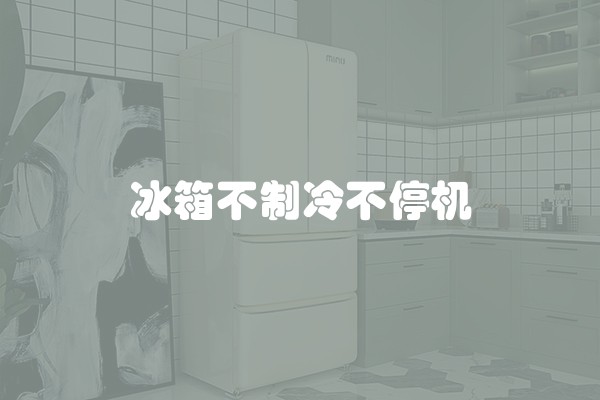 冰箱不制冷不停机