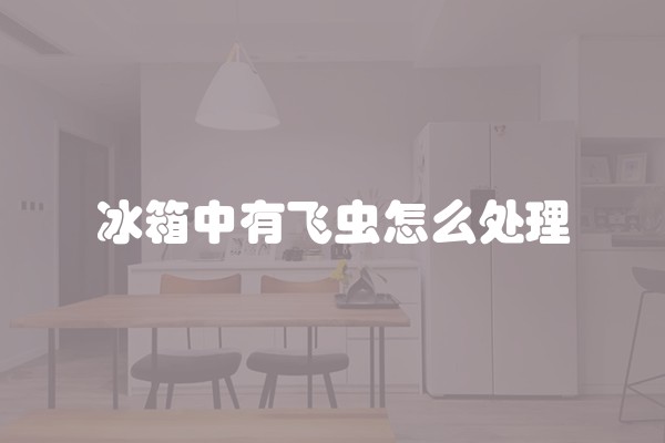 冰箱中有飞虫怎么处理