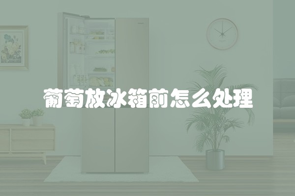 葡萄放冰箱前怎么处理