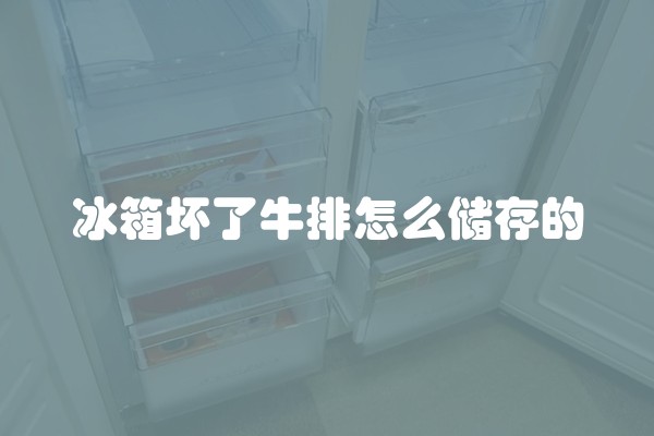 冰箱坏了牛排怎么储存的