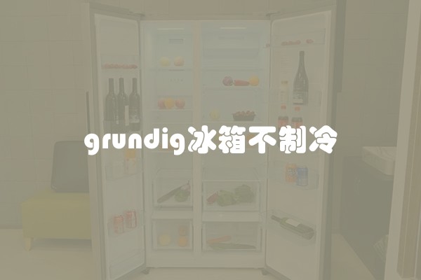 grundig冰箱不制冷