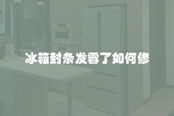 冰箱封条发霉了如何修