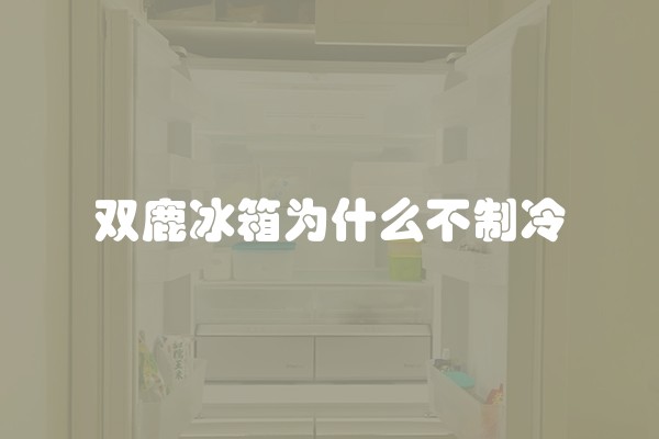 双鹿冰箱为什么不制冷