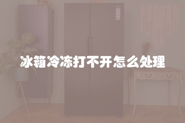 冰箱冷冻打不开怎么处理