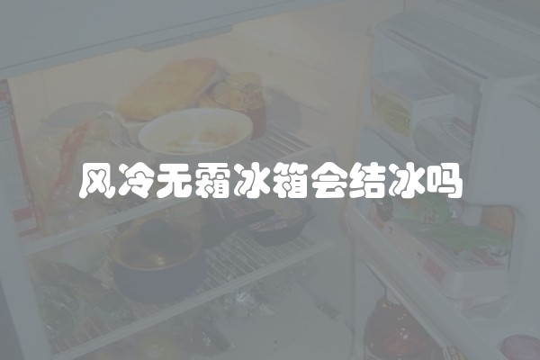 风冷无霜冰箱会结冰吗