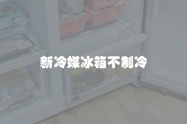 新冷媒冰箱不制冷