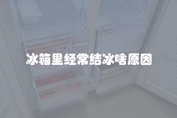 冰箱里经常结冰啥原因