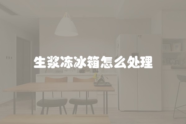 生浆冻冰箱怎么处理