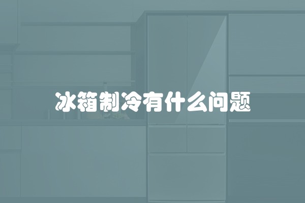 冰箱制冷有什么问题