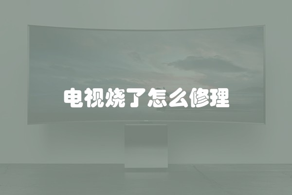 电视烧了怎么修理