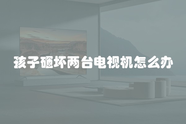 孩子砸坏两台电视机怎么办