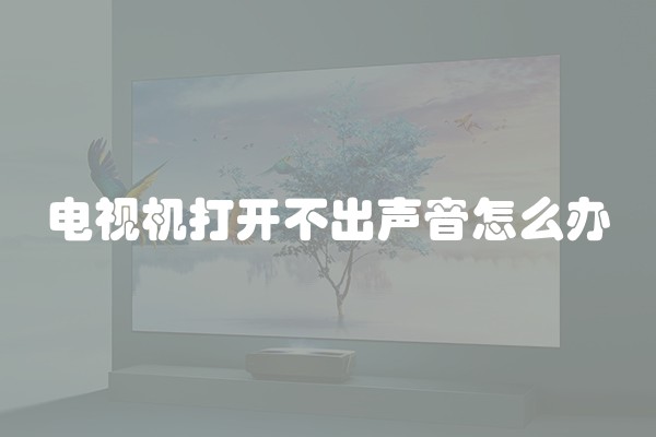 电视机打开不出声音怎么办