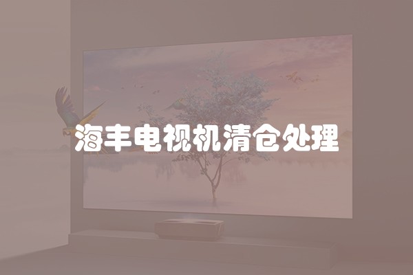 海丰电视机清仓处理