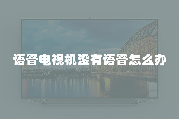 语音电视机没有语音怎么办