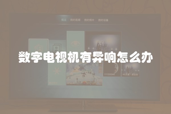 数字电视机有异响怎么办