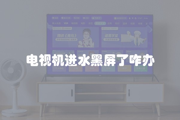 电视机进水黑屏了咋办