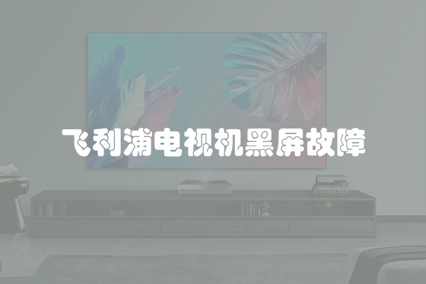 飞利浦电视机黑屏故障