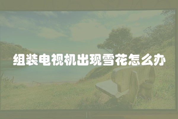组装电视机出现雪花怎么办