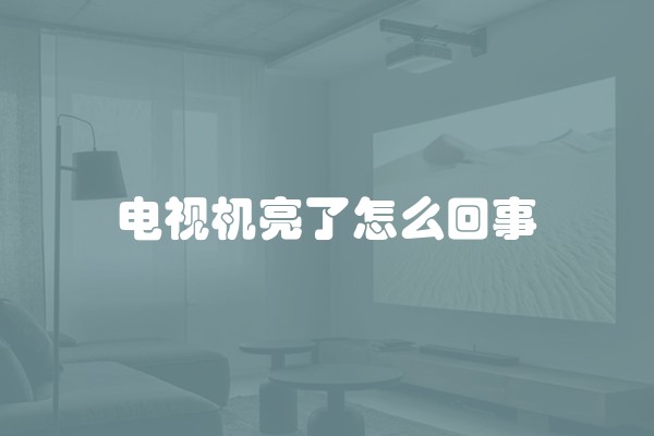 电视机亮了怎么回事