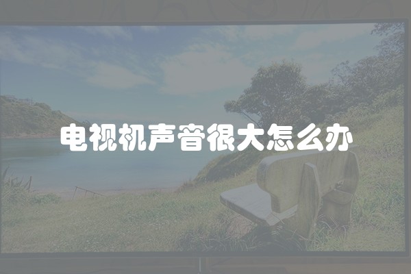 电视机声音很大怎么办