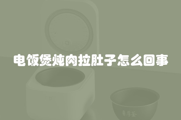 电饭煲炖肉拉肚子怎么回事