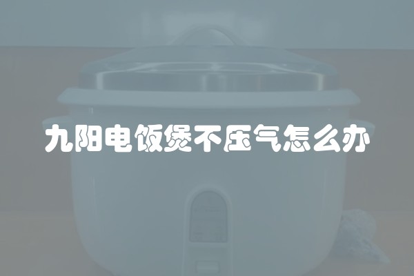 九阳电饭煲不压气怎么办