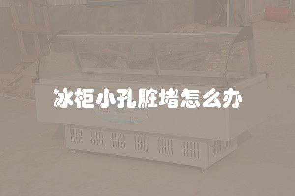 冰柜小孔脏堵怎么办