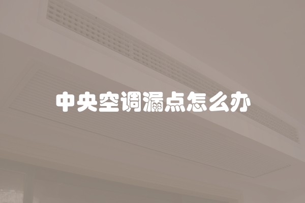 中央空调漏点怎么办