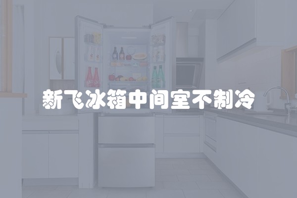 新飞冰箱中间室不制冷