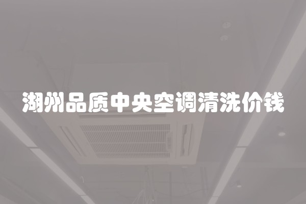 湖州品质中央空调清洗价钱
