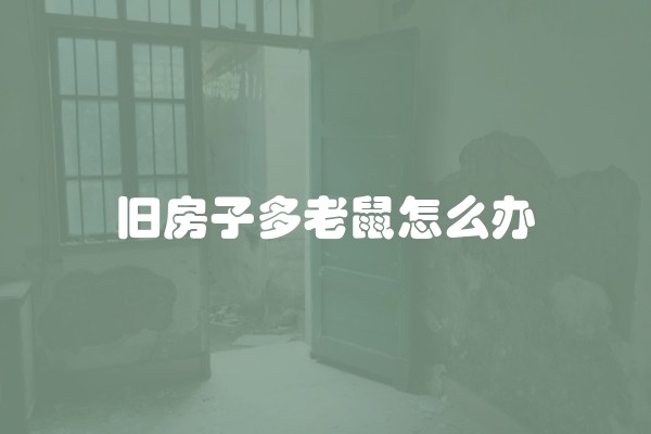 旧房子多老鼠怎么办