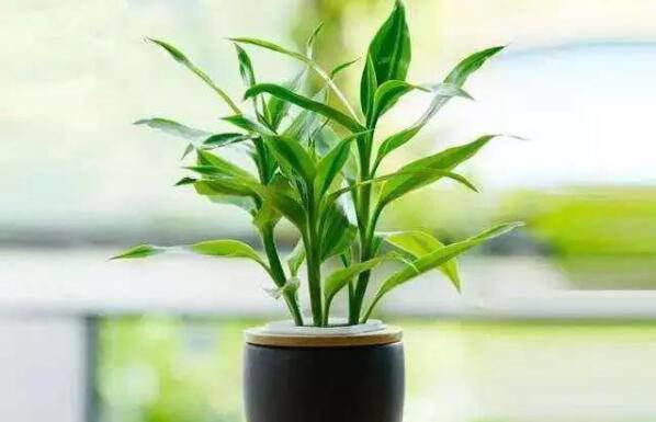房屋装修完需要多久才能无甲醛？