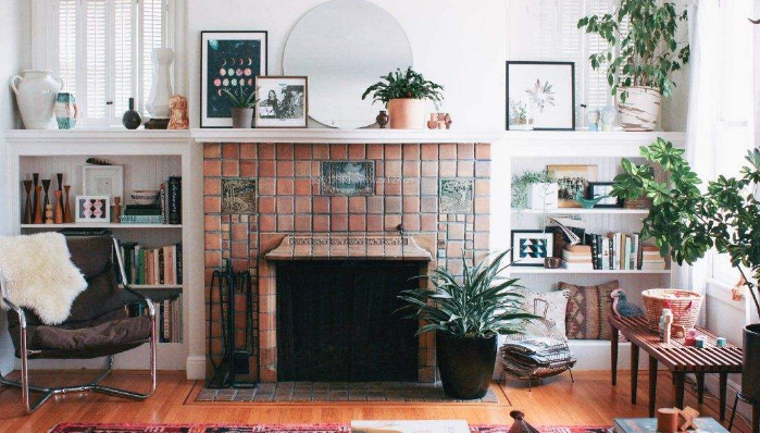 新装修的房子放什么植物比较好 新装修的房子放什么植物比较好