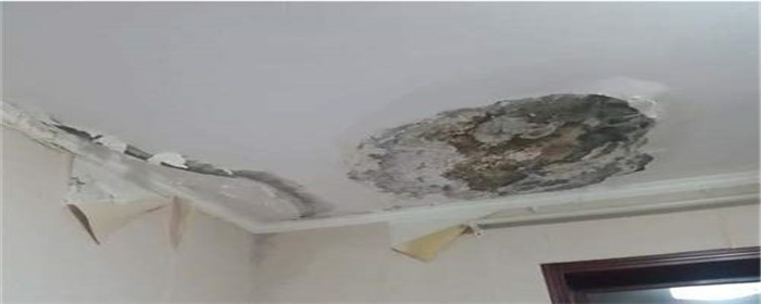 房屋顶楼漏水怎么申请维修