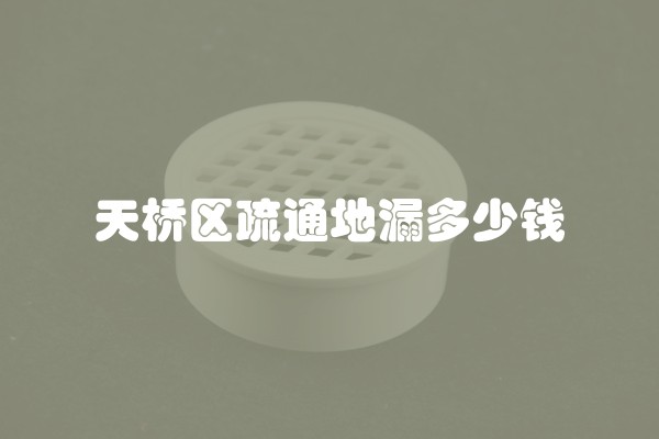 天桥区疏通地漏多少钱