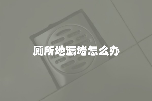 厕所地漏堵怎么办 厕所地漏堵怎么办