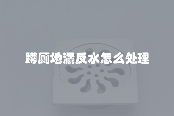 蹲厕地漏反水怎么处理 蹲厕地漏反水怎么处理