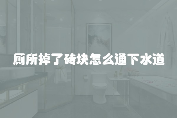 厕所掉了砖块怎么通下水道