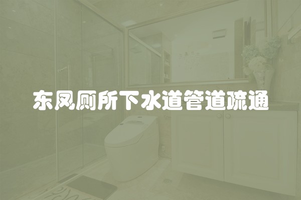 东凤厕所下水道管道疏通 东凤厕所下水道管道疏通